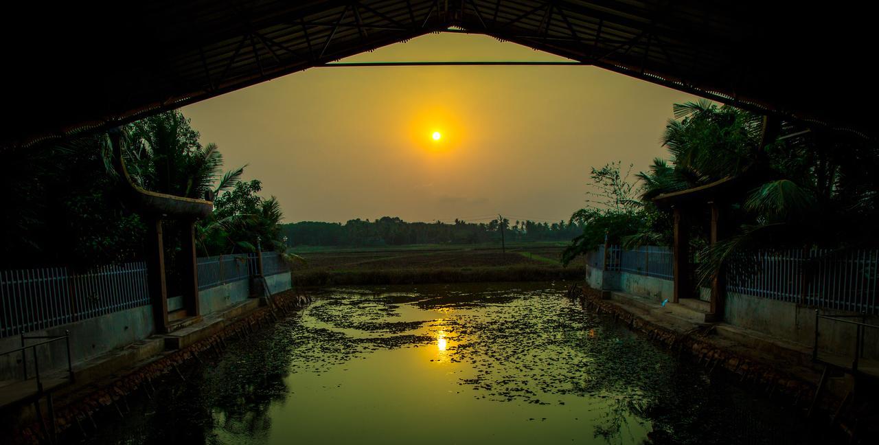 Mango Meadows Hotel กัตตะยัม ภายนอก รูปภาพ